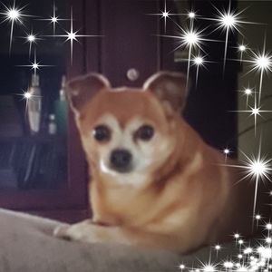 Meet your Posher, Rick